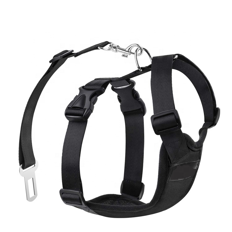 Retractable Safety Long Adjustable Heavy Duty Elastic Durable Private Label Dog Leash Climbing Rope