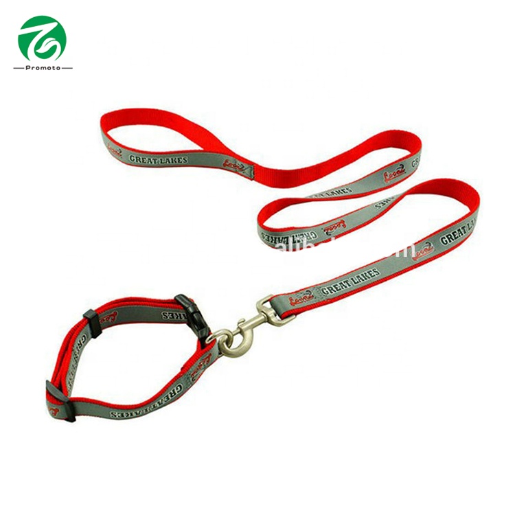 Reasonable price Retractable Lanyard Badge Holder - 2014 wholesale polyester webbing dog leash/dog lead – Bison