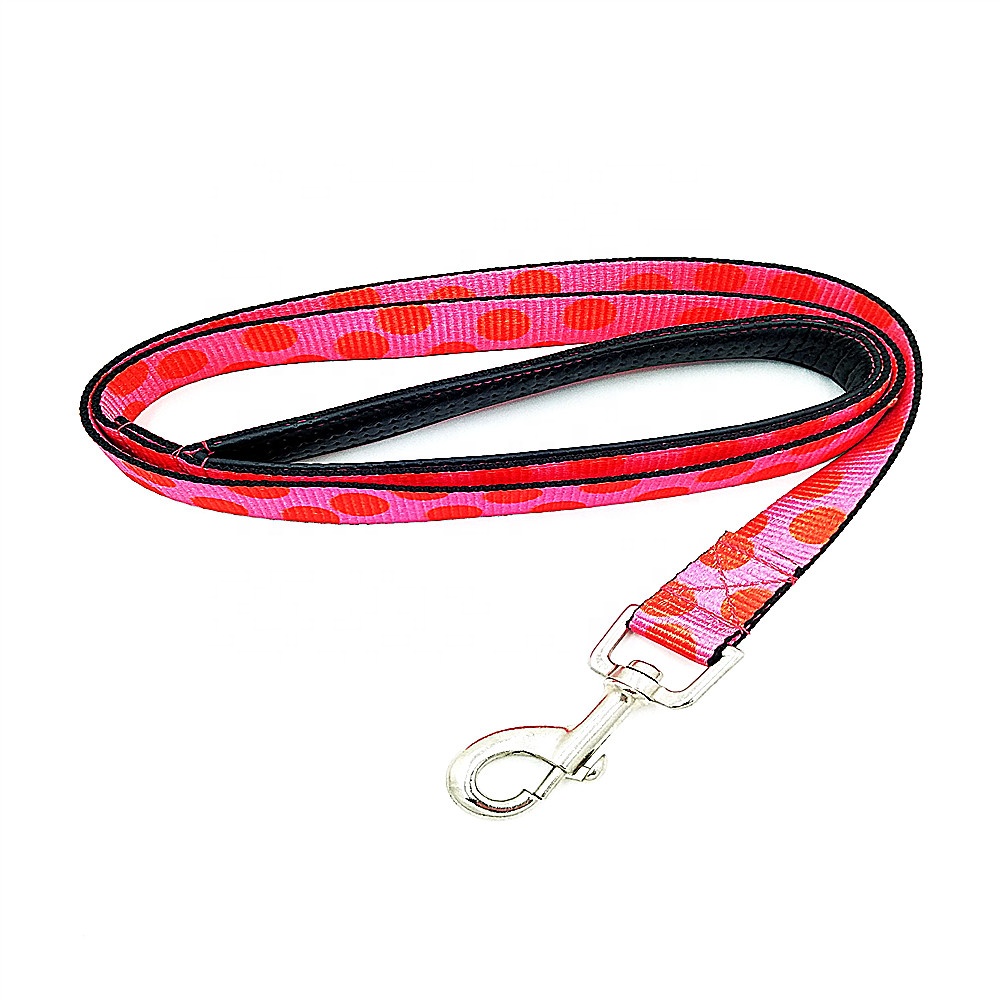 professional factory for White Lanyard - Custom Eco-friendly Printing Polyester Dog Leash – Bison