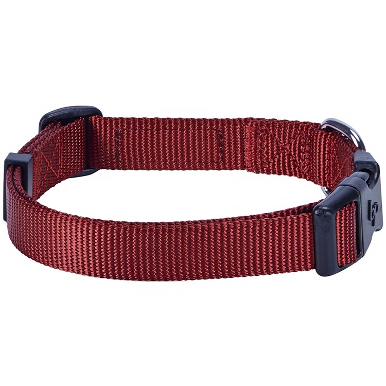 Heavy Duty Dog Collar Chains Dog Collars Free Sample