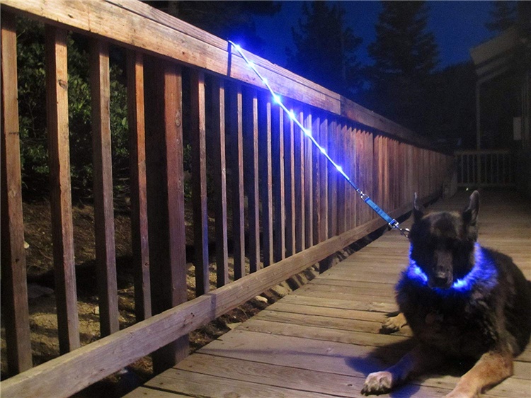 dog leash with light (4).jpg